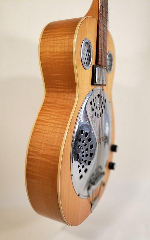 12 top string dobro